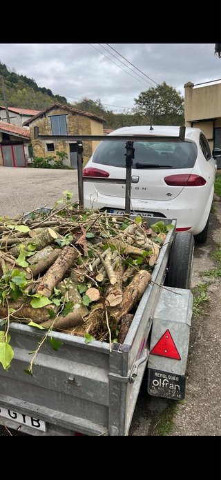 Leña para chimenea o estufa