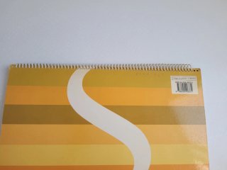 DIBUJO Y PINTURA 6 PRIMARIA UN PASO MAS