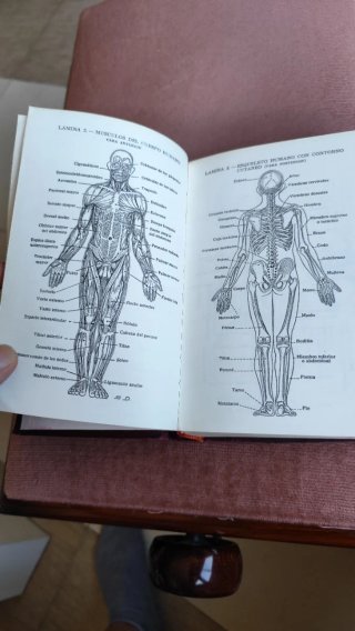 Atlas manual de anatomía