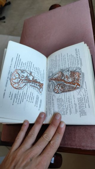 Atlas manual de anatomía