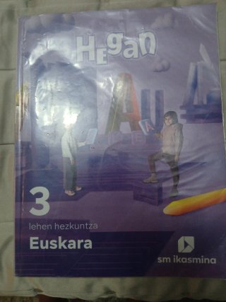 Euskara, 3 Lehen Hezkuntza, Hegan