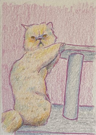 Carta ACEO original de gato