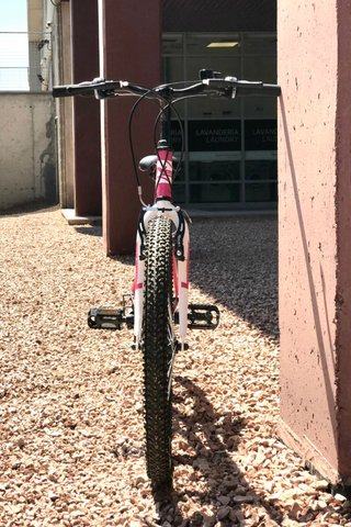 Bicicleta Infantil Neon X-Team Pro.