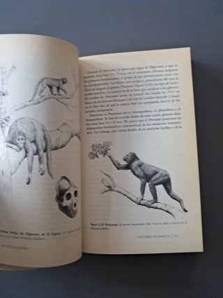 La especie elegida : la larga marcha de la evol...
