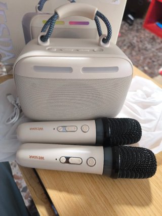 Altavoz Karaoke Wesdar con Micrófonos
