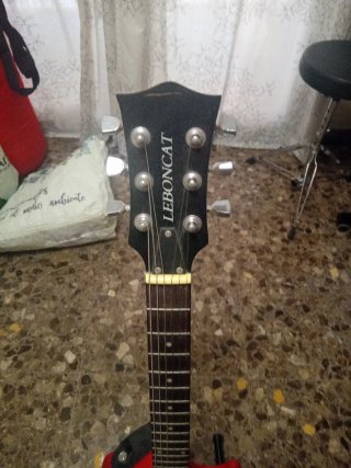 Guitarra Eléctrica Leboncat Tipo Les Paul