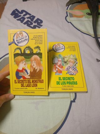 Libros resuelve el misterio