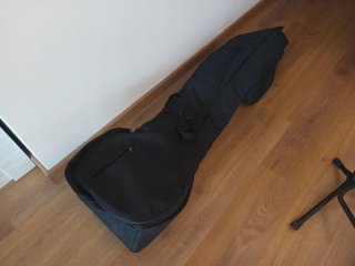 Sitar de Teca Estilo Ravi Shankar