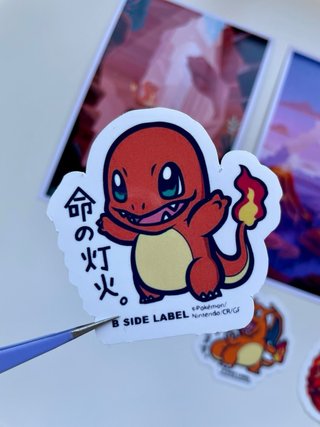 Mini pósters y pegatinas Charmander y Charizard