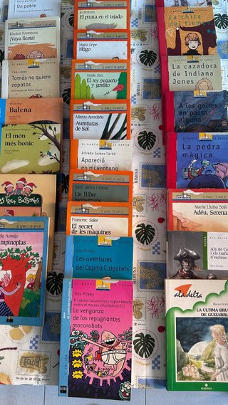Lote libros infantiles y juveniles. Como nuevos
