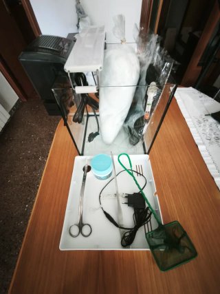 CONJUNTO ACUARIO