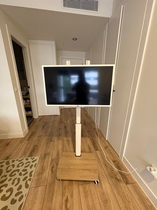 Smart TV LG 32 pulgadas con soporte móvil