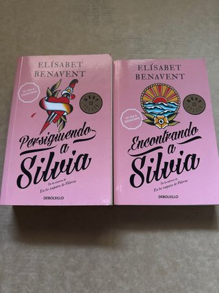 Persiguiendo a Silvia. Encontrando a Silvia.