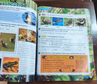 Super Minds Level 4 Student's Book with DVD-ROM