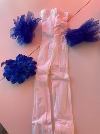 Tutú de ballet azul con detalles bordados