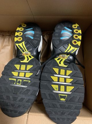 Zapatillas Nike Air Max TN