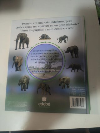 El elefante