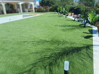 Jardinero con 25 años de experiencia