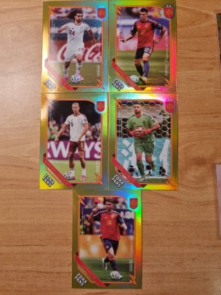 5 Cartas Panini Zona Fans Gold Campeones del Mundo