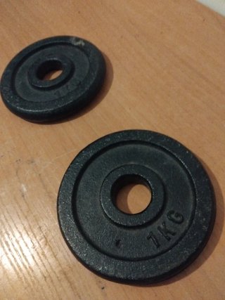 Set de 2 Discos de Pesas de 1kg