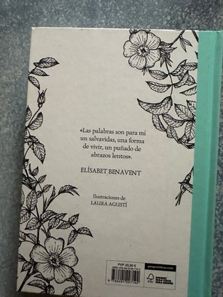 Los abrazos lentos / Soft Embraces