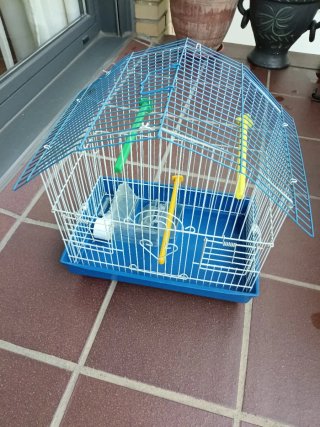 Gabbia per uccelli con accessori