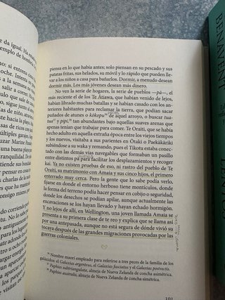 Las ciénagas