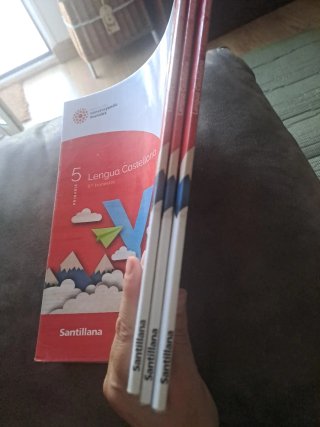 Lengua castellana, 5 Primaria