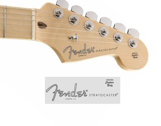 #60#Fender Stratocaster American Professional