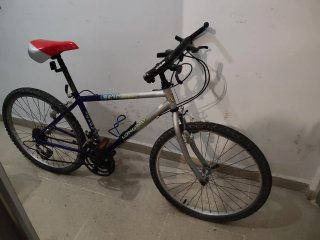 Bicicleta Montaña Azul y Plata