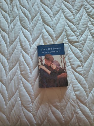 Lote de Novelas en edición original inglesa