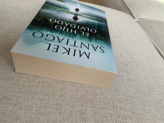 El hijo olvidado
