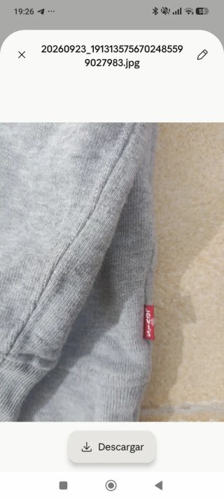 Sudadera Levi's gris capucha logo batwing