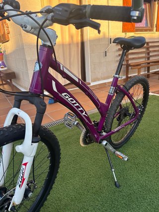 Bicicleta GOTTY Aluminio 24V