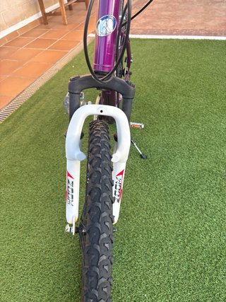 Bicicleta GOTTY Aluminio 24V