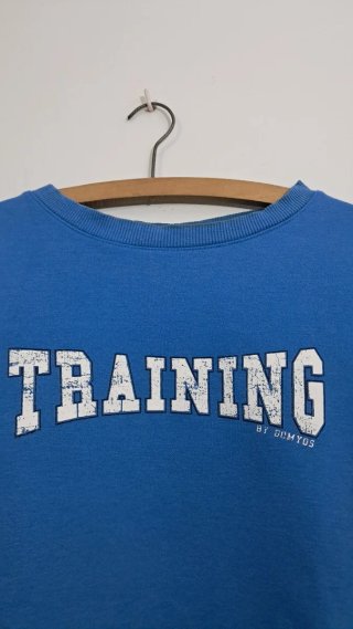 Lote 2 Jerseys Training de Domyos