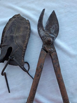 Tijeras de podar antiguas