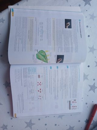 Física y Química 1o Bachillerato : Revuela
