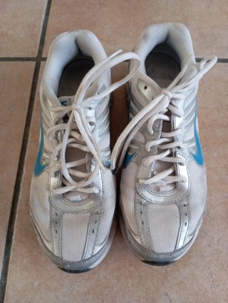 Zapatillas Nike Mujer Plata y Blanco