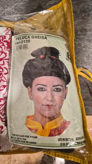 Disfraz Gheisa