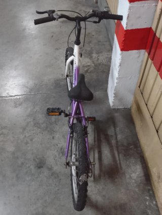 Bicicleta Boomerang OPEN 20 Morada
