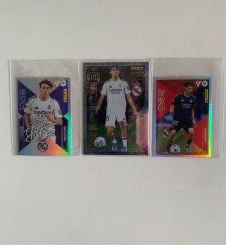 Cromos Panini Thiago Pitarch