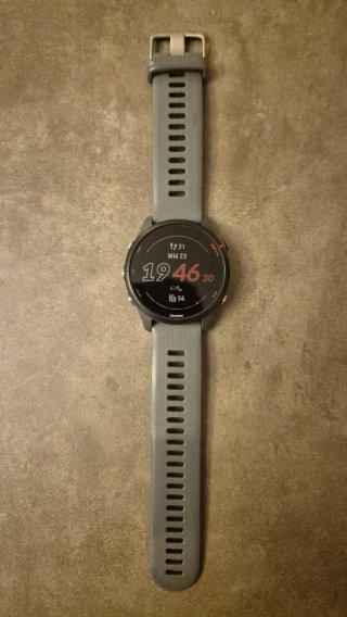 Garmin Forerunner 255 Gris