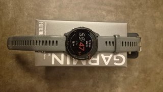 Garmin Forerunner 255 Gris
