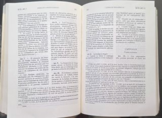 Manual Derecho Constitucional