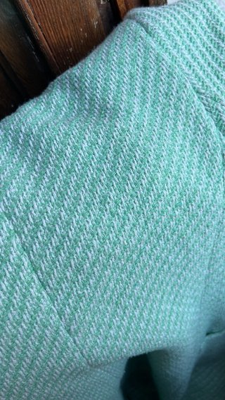 Americana Zara verde y blanco