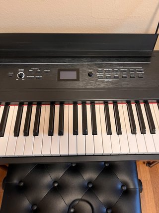 Piano Digital Alesis Recital Pro