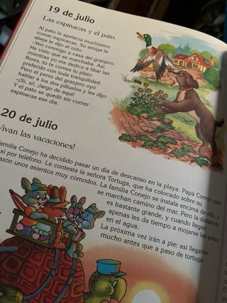 Los animales cuentan 365 historias