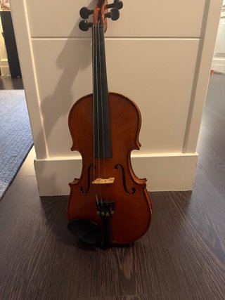Violín Palatino 1/2 con 2 arcos y estuche