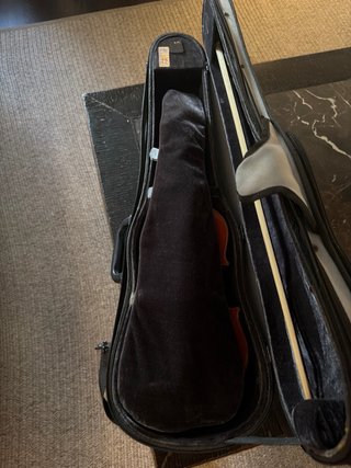 Violín Palatino 1/2 con 2 arcos y estuche